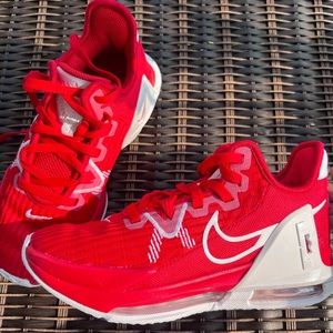Nike Lebron Witness Shoes